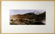 Texto alternativo para la imagen