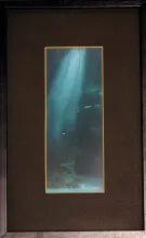 Texto alternativo para la imagen