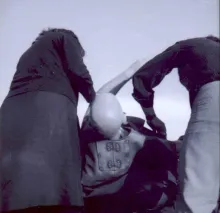 Texto alternativo para la imagen