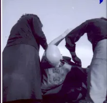 Texto alternativo para la imagen