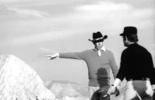 Texto alternativo para la imagen