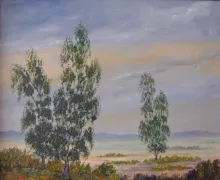 Texto alternativo para la imagen