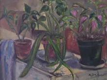 Texto alternativo para la imagen