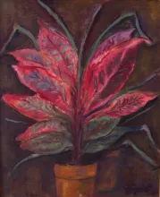 Texto alternativo para la imagen