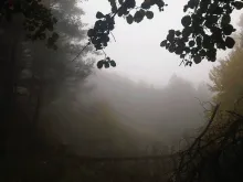 Texto alternativo para la imagen