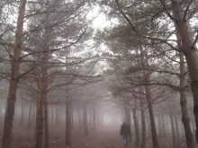 Texto alternativo para la imagen