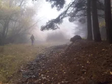 Texto alternativo para la imagen