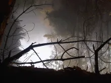 Texto alternativo para la imagen