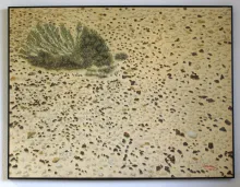 Texto alternativo para la imagen