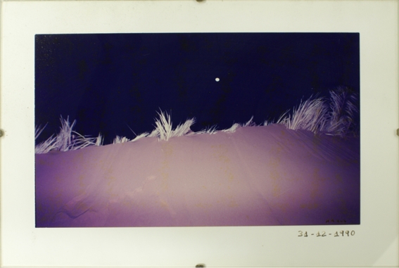 Texto alternativo para la imagen