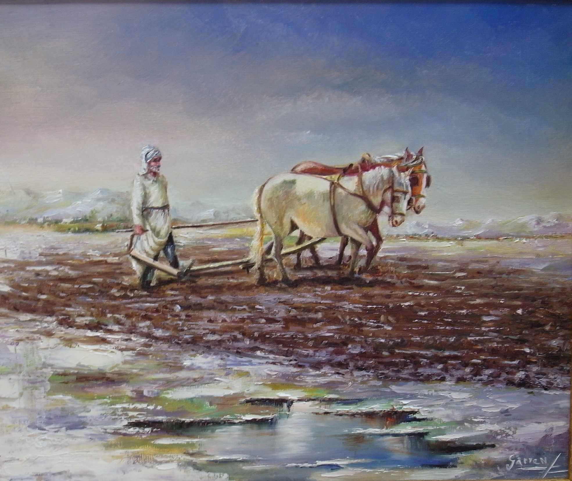 Texto alternativo para la imagen