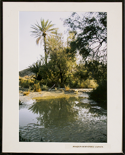 Texto alternativo para la imagen