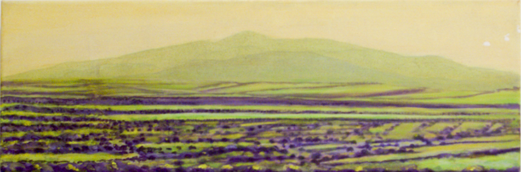 Texto alternativo para la imagen