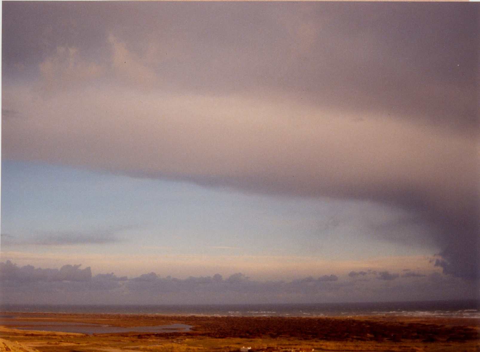 Texto alternativo para la imagen