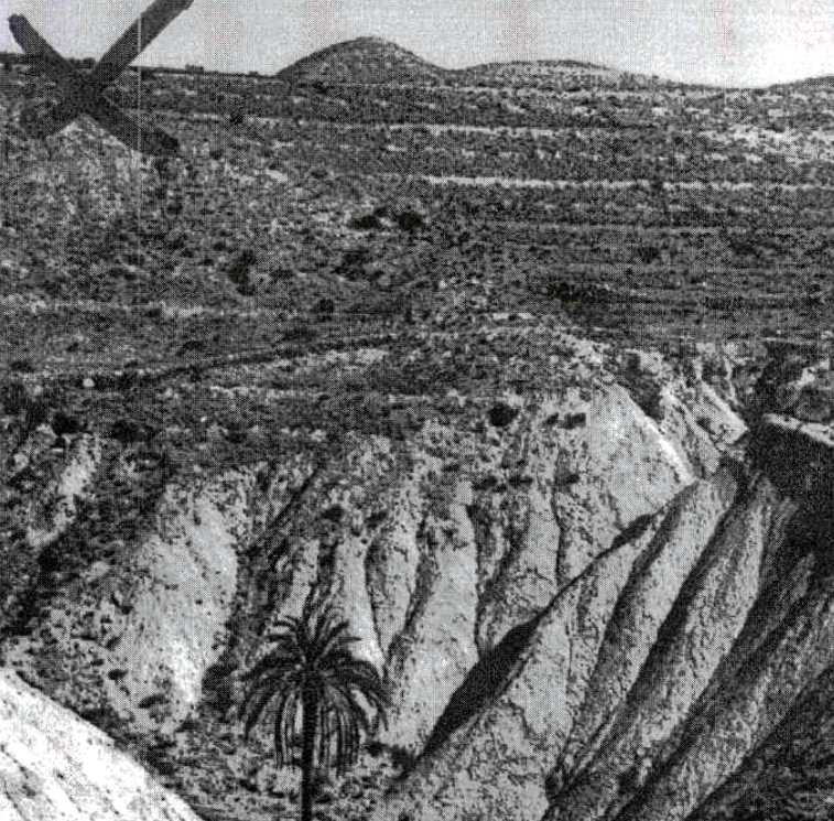 Texto alternativo para la imagen