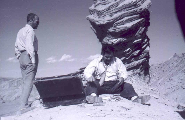 Texto alternativo para la imagen