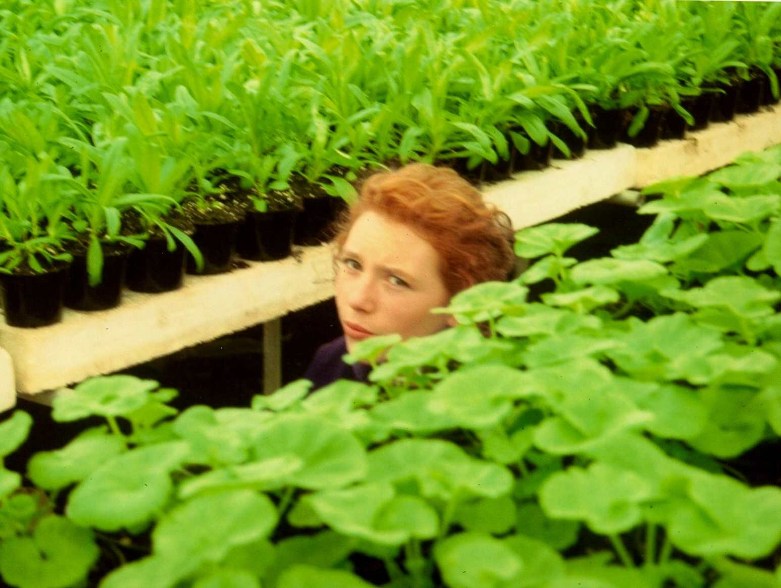 Texto alternativo para la imagen