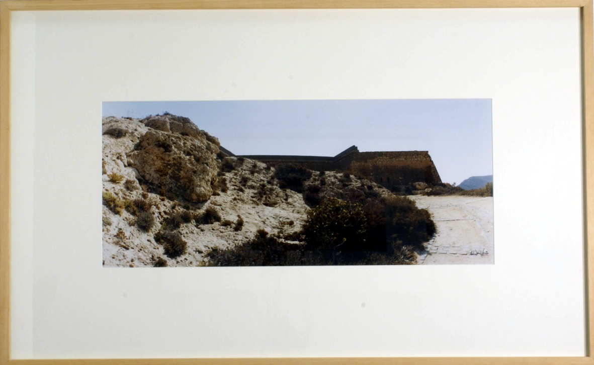 Texto alternativo para la imagen