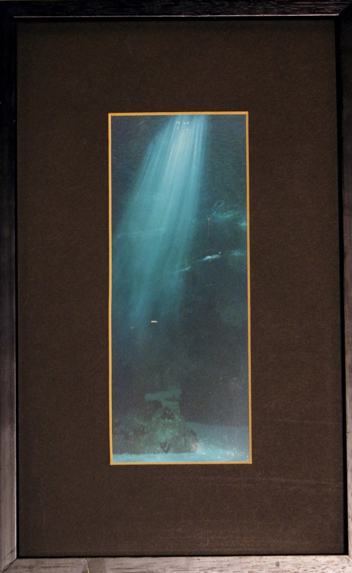 Texto alternativo para la imagen