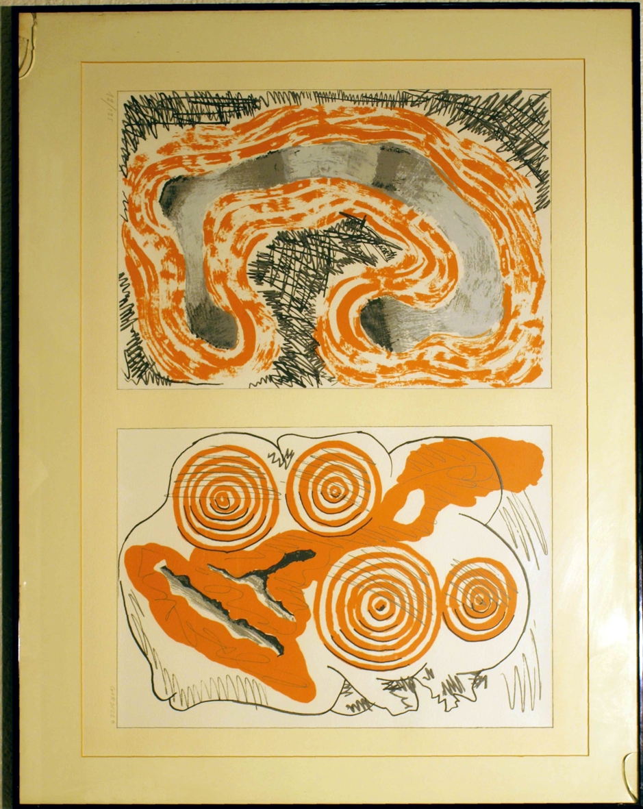 Texto alternativo para la imagen