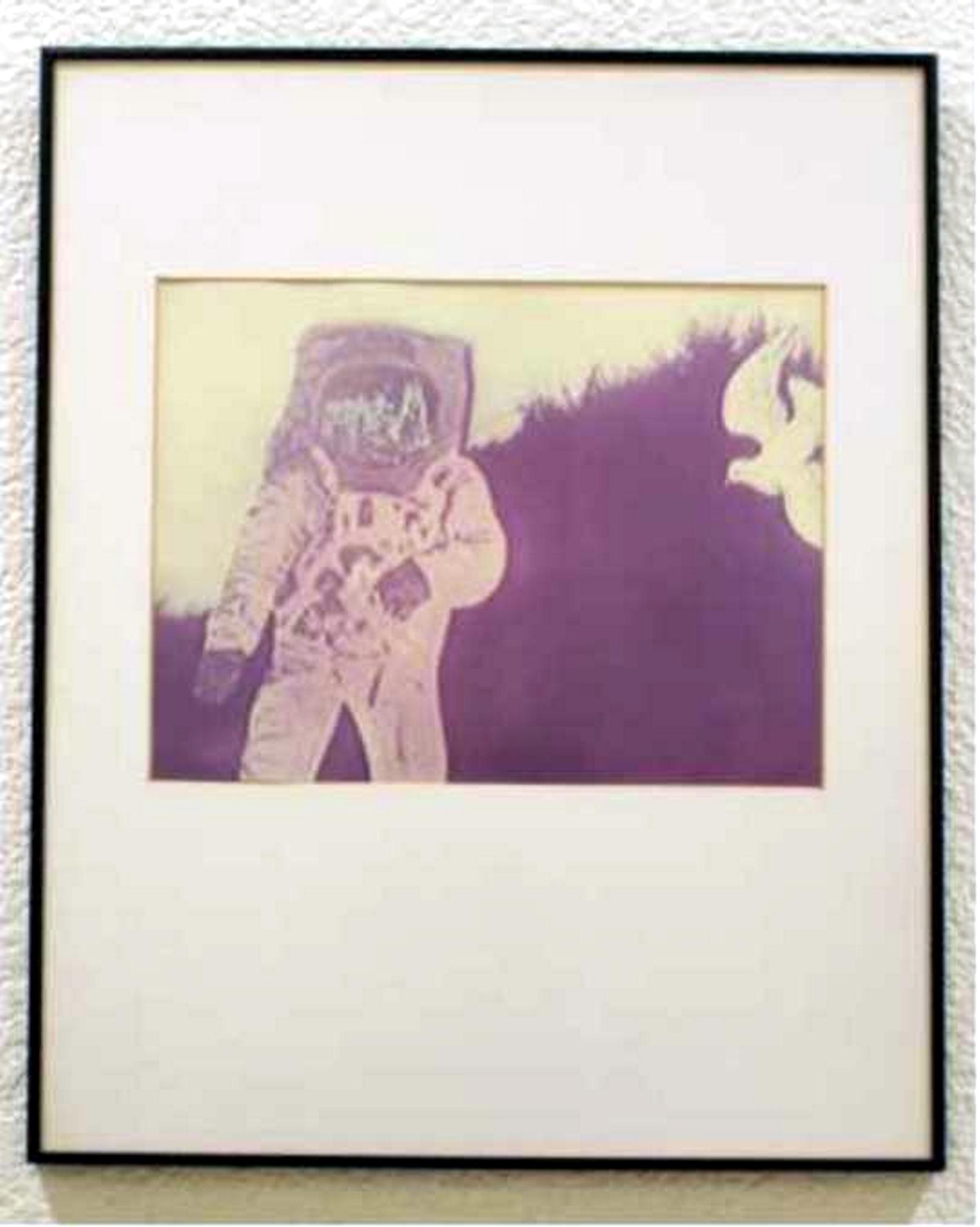 Texto alternativo para la imagen