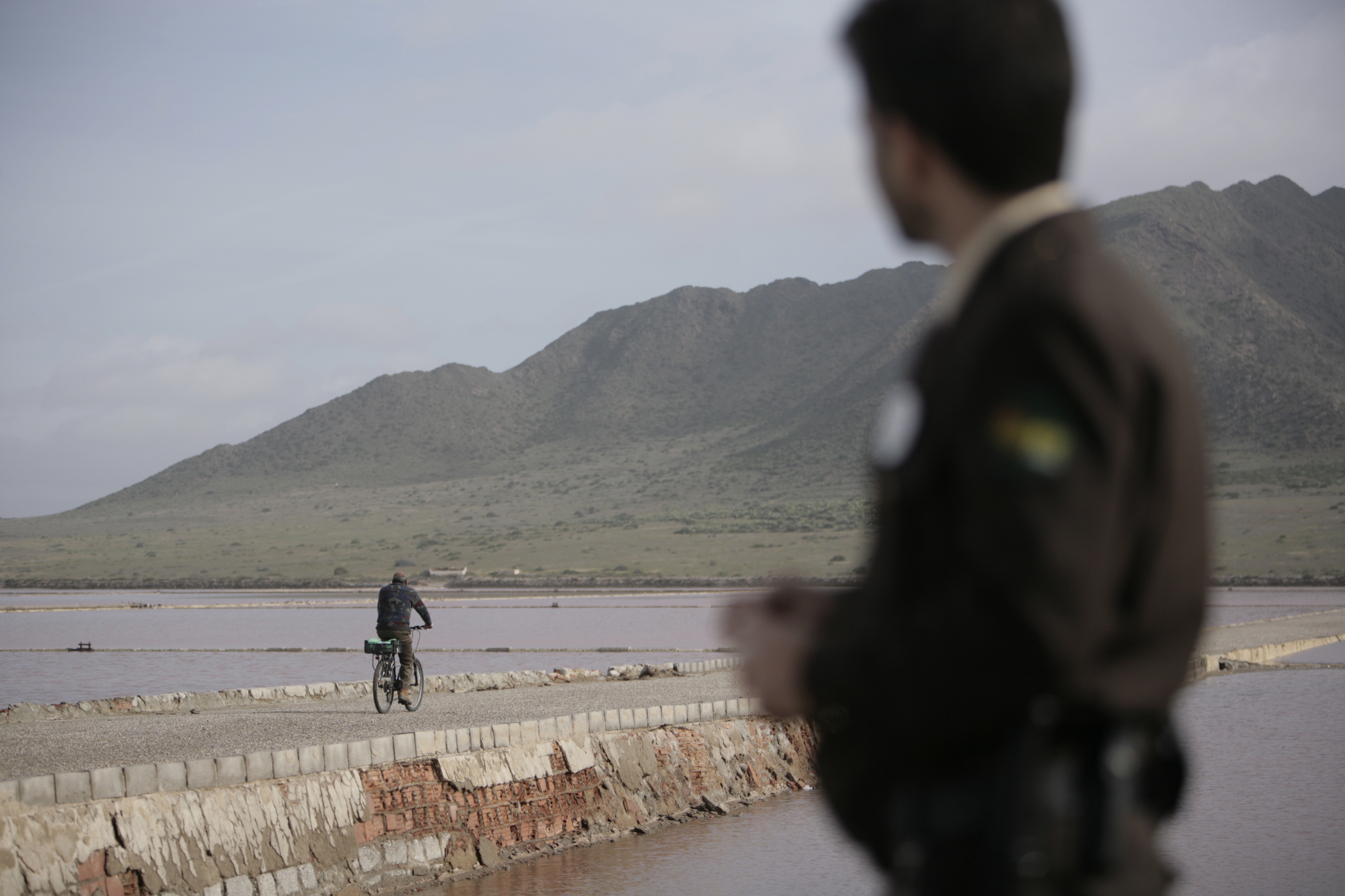 Texto alternativo para la imagen