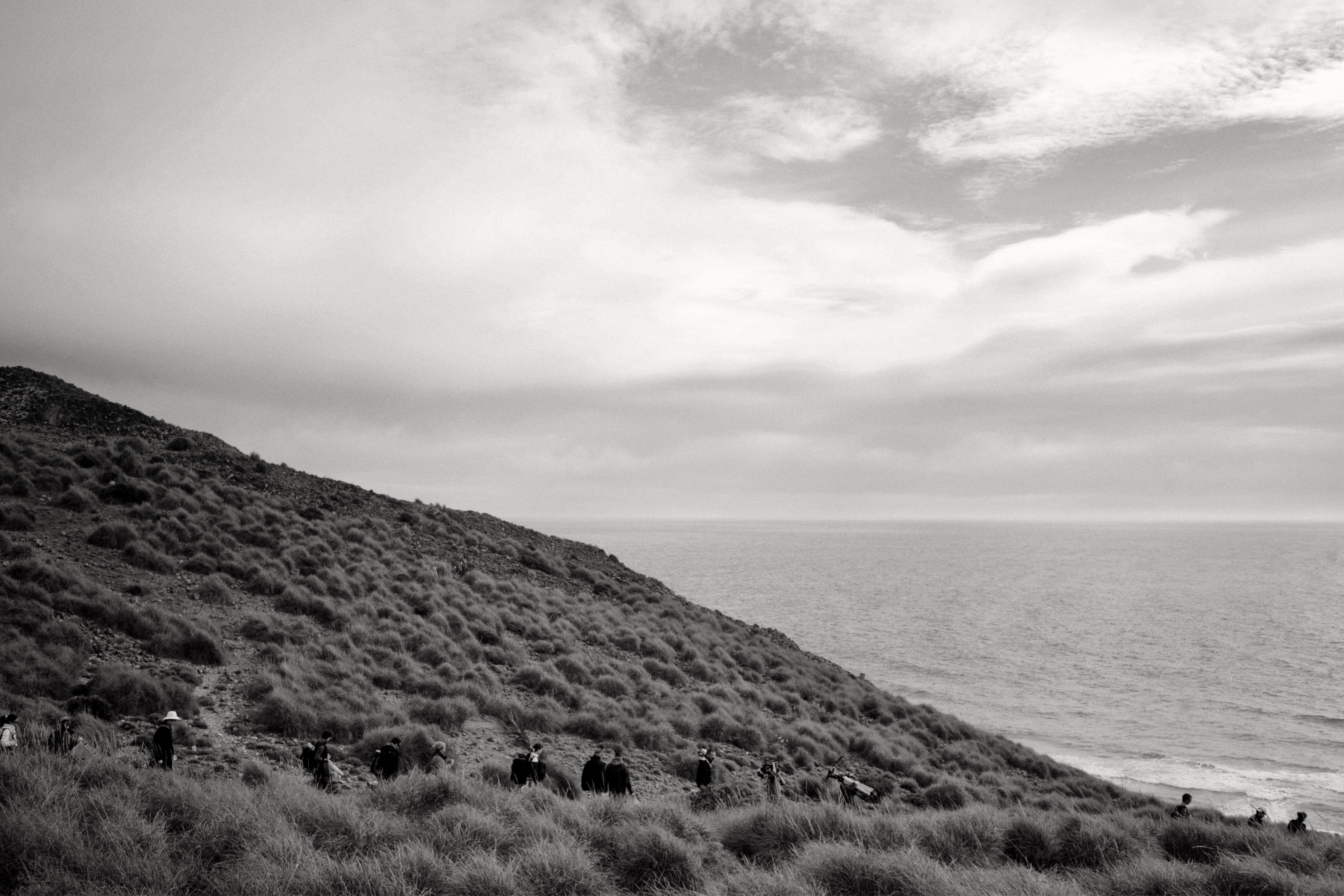 Texto alternativo para la imagen