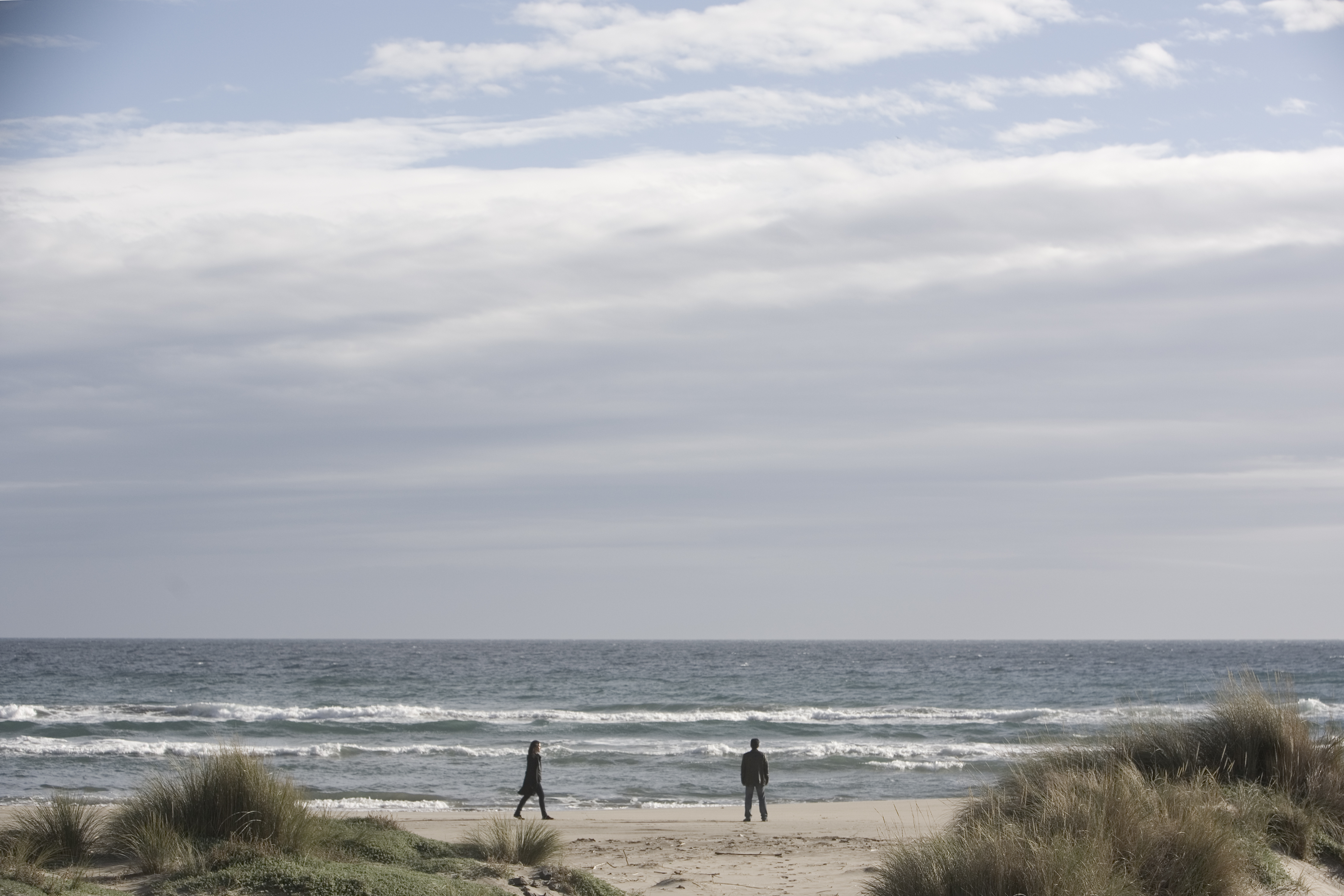 Texto alternativo para la imagen