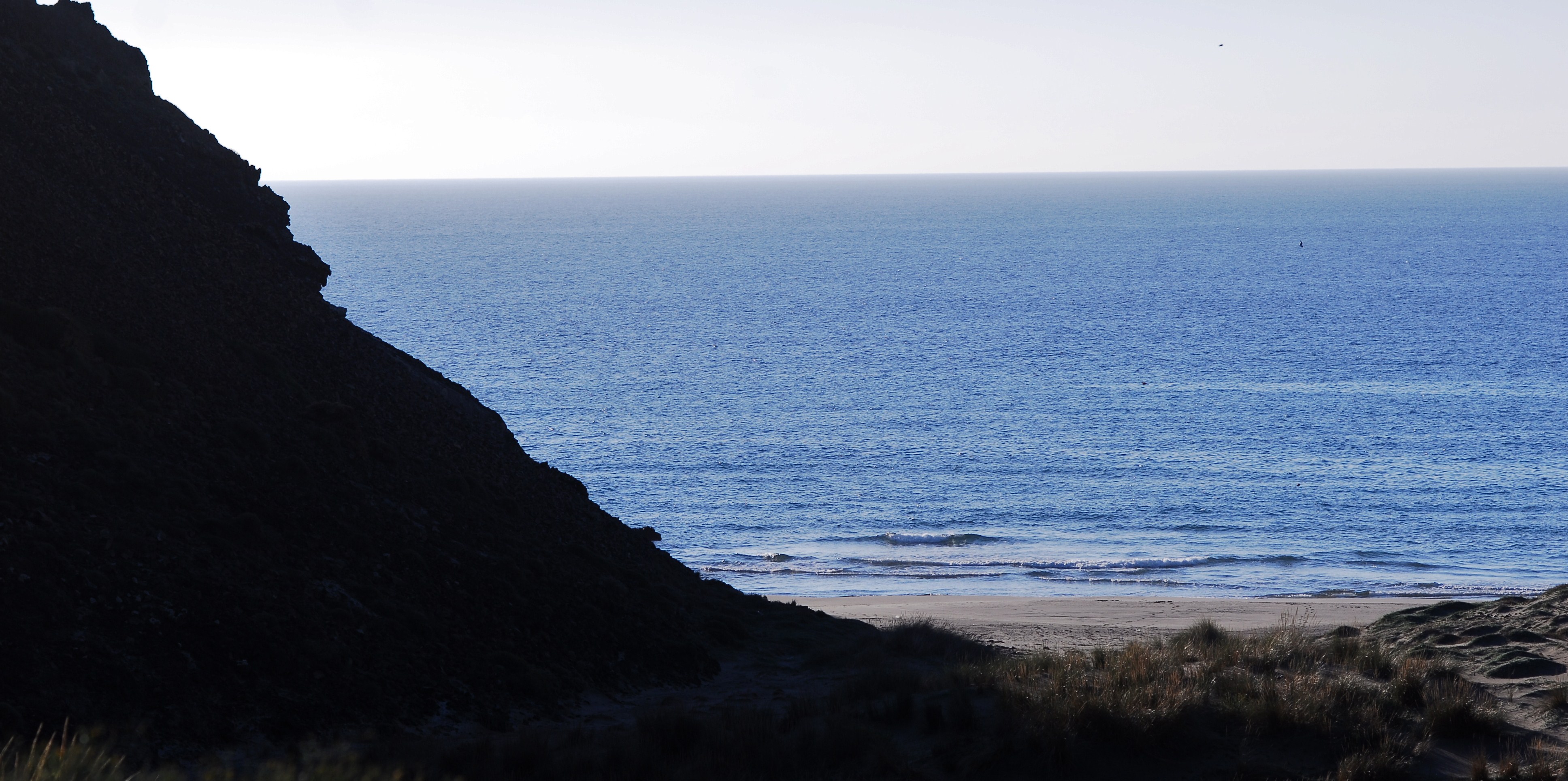 Texto alternativo para la imagen