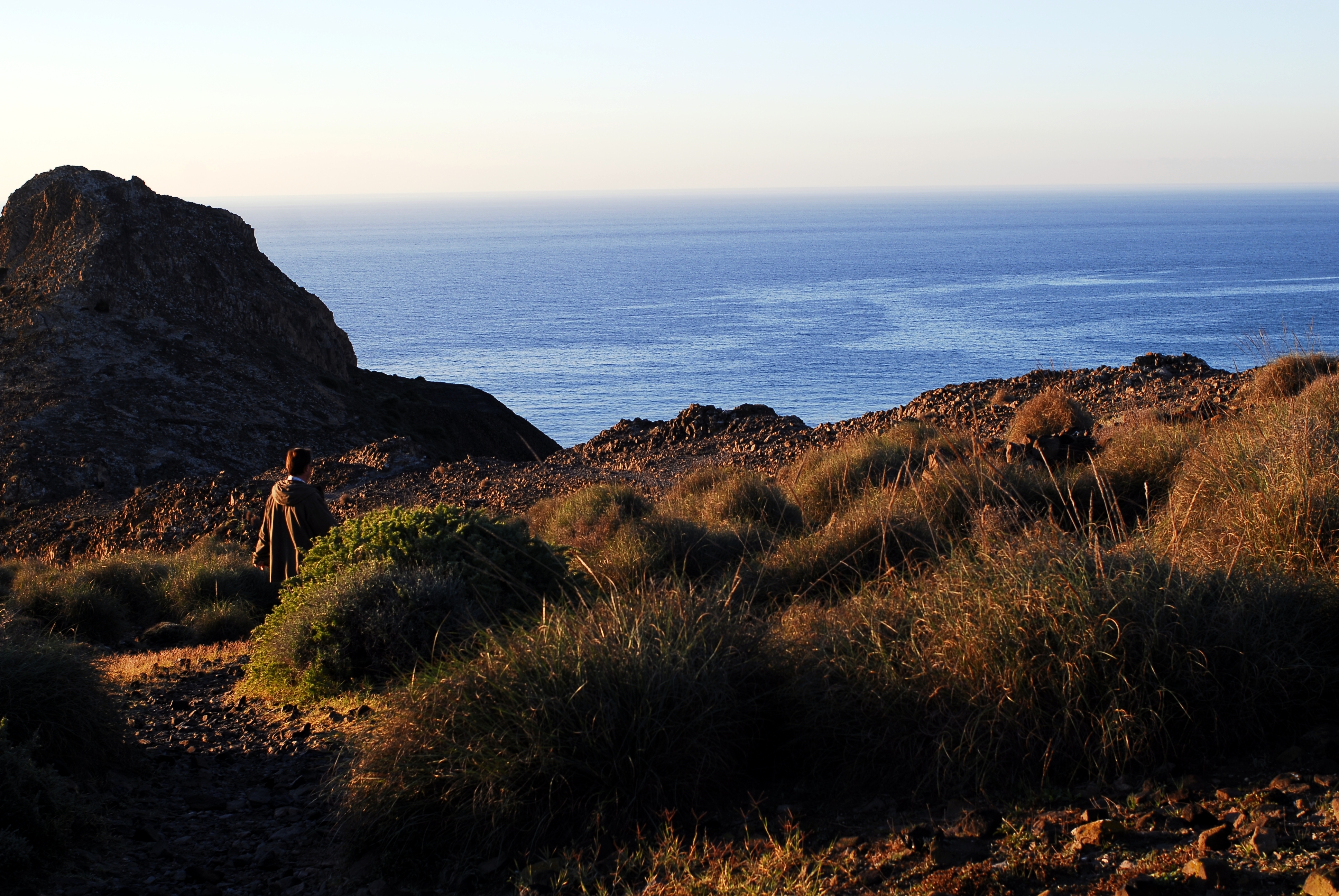 Texto alternativo para la imagen