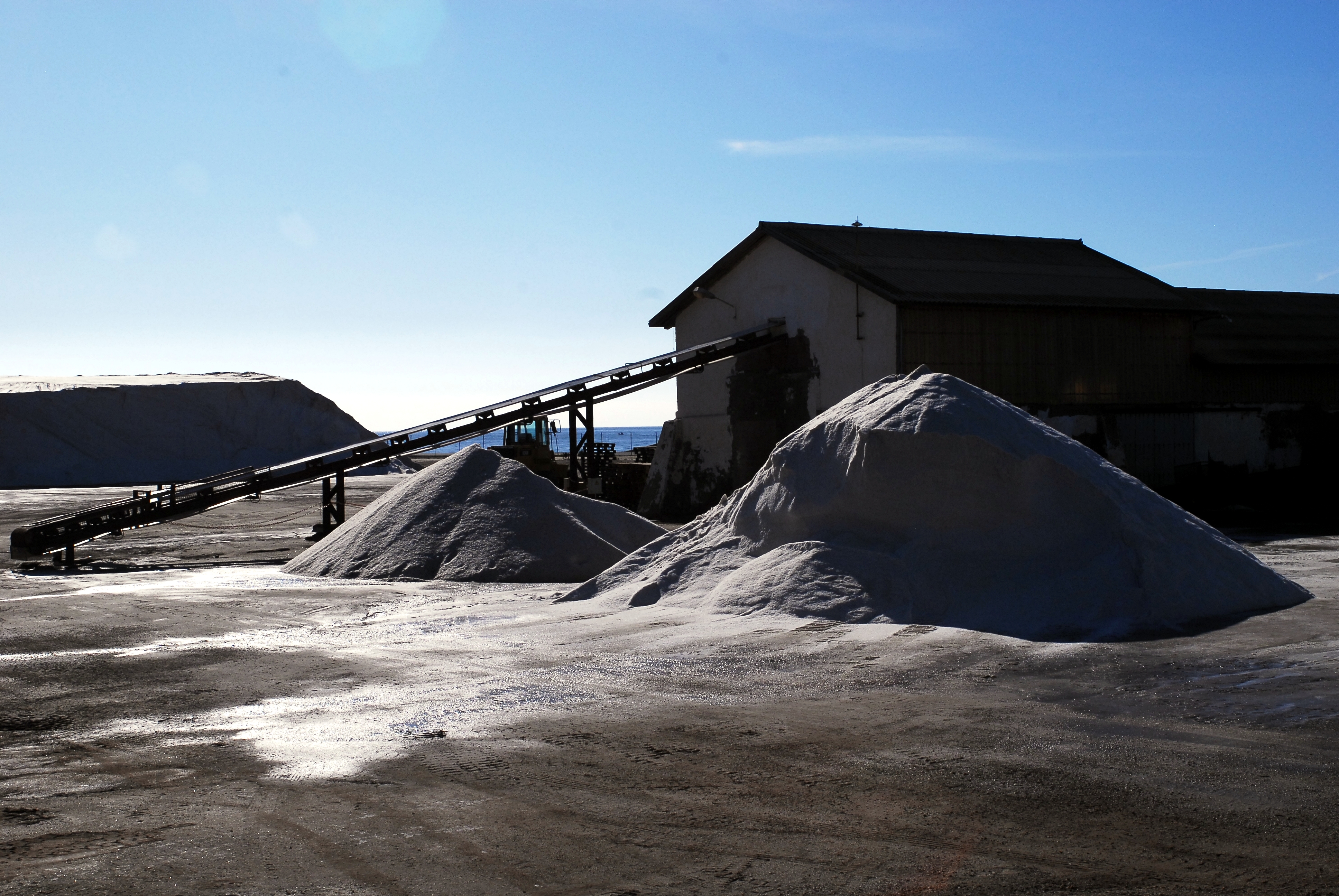 Texto alternativo para la imagen