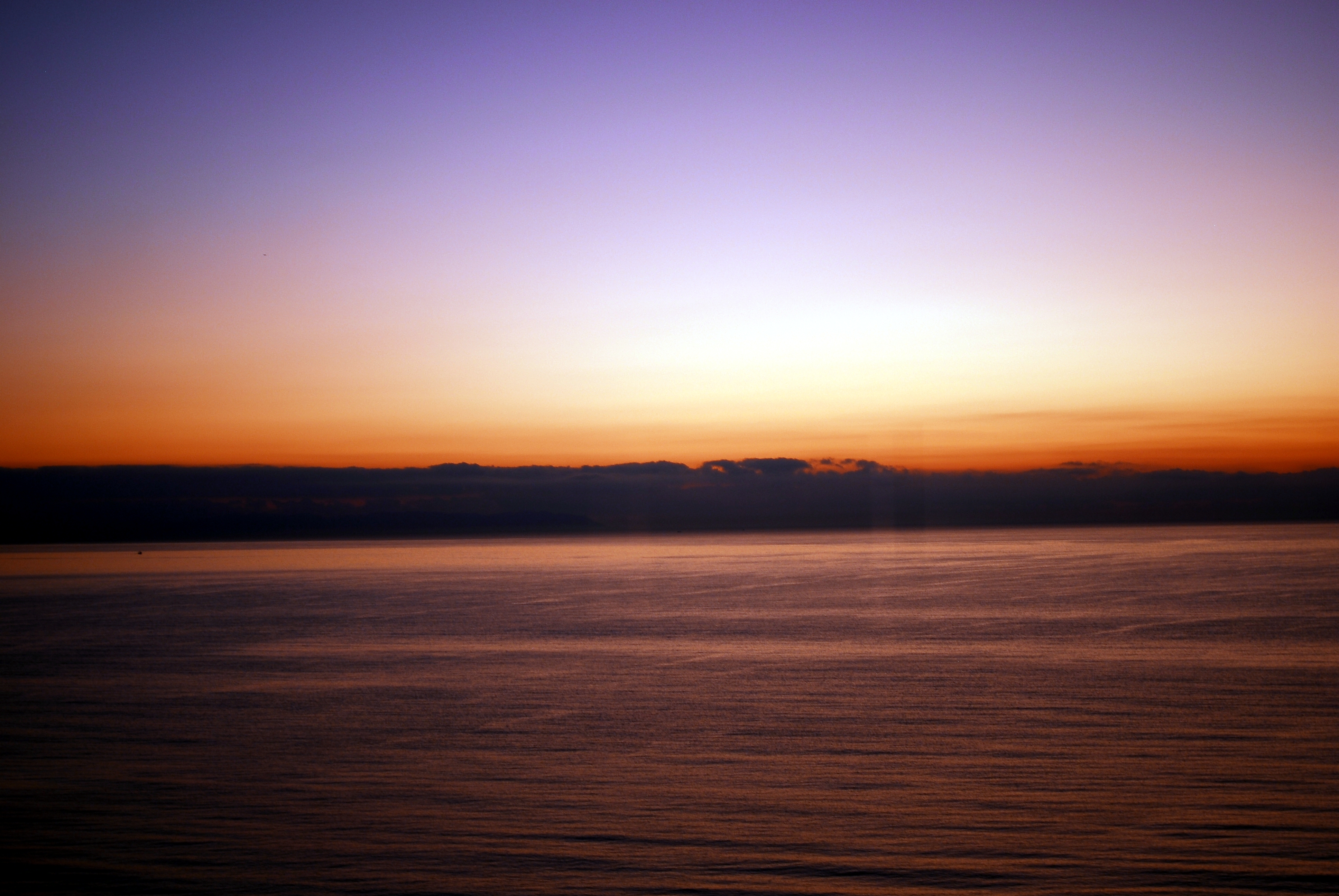 Texto alternativo para la imagen