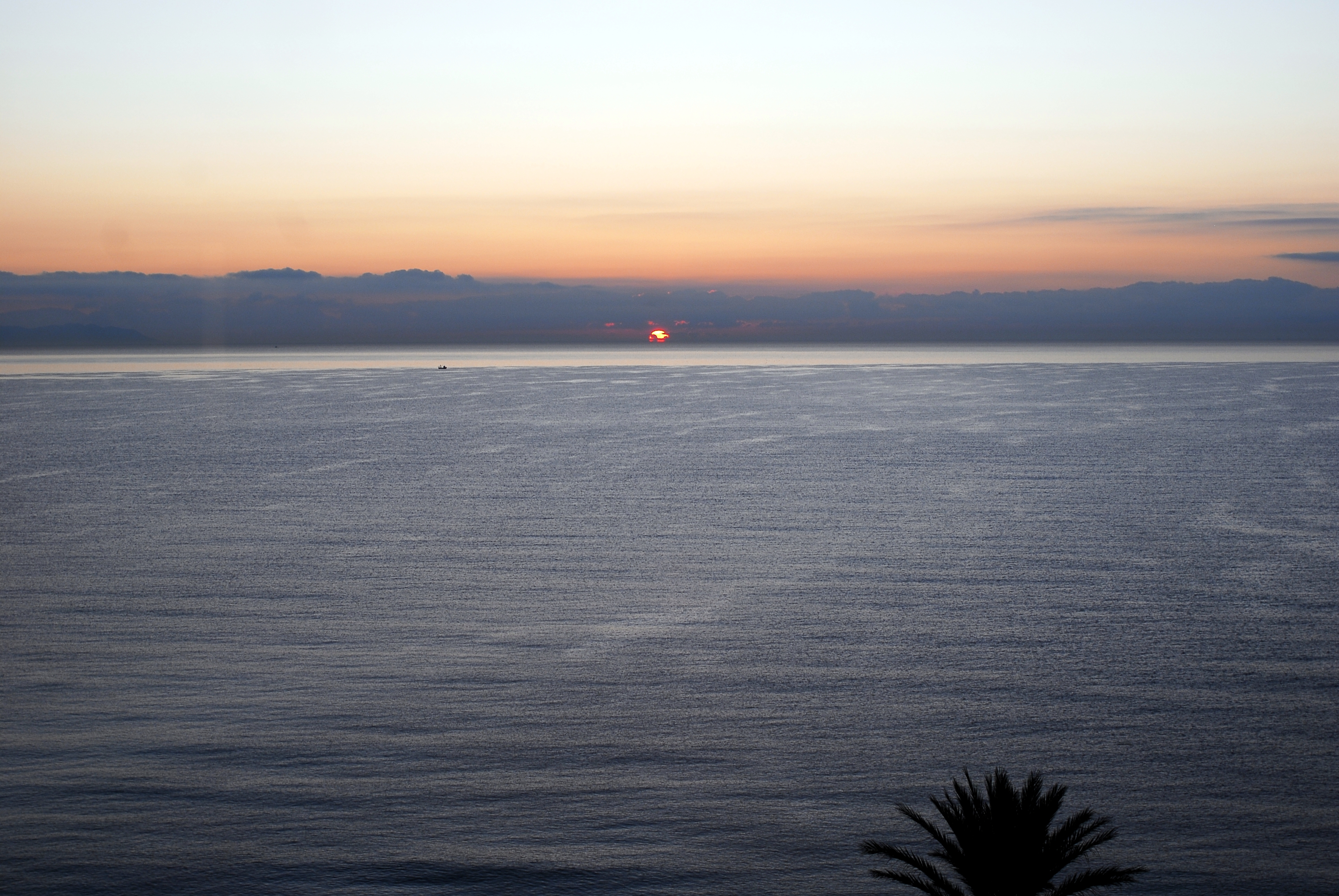 Texto alternativo para la imagen