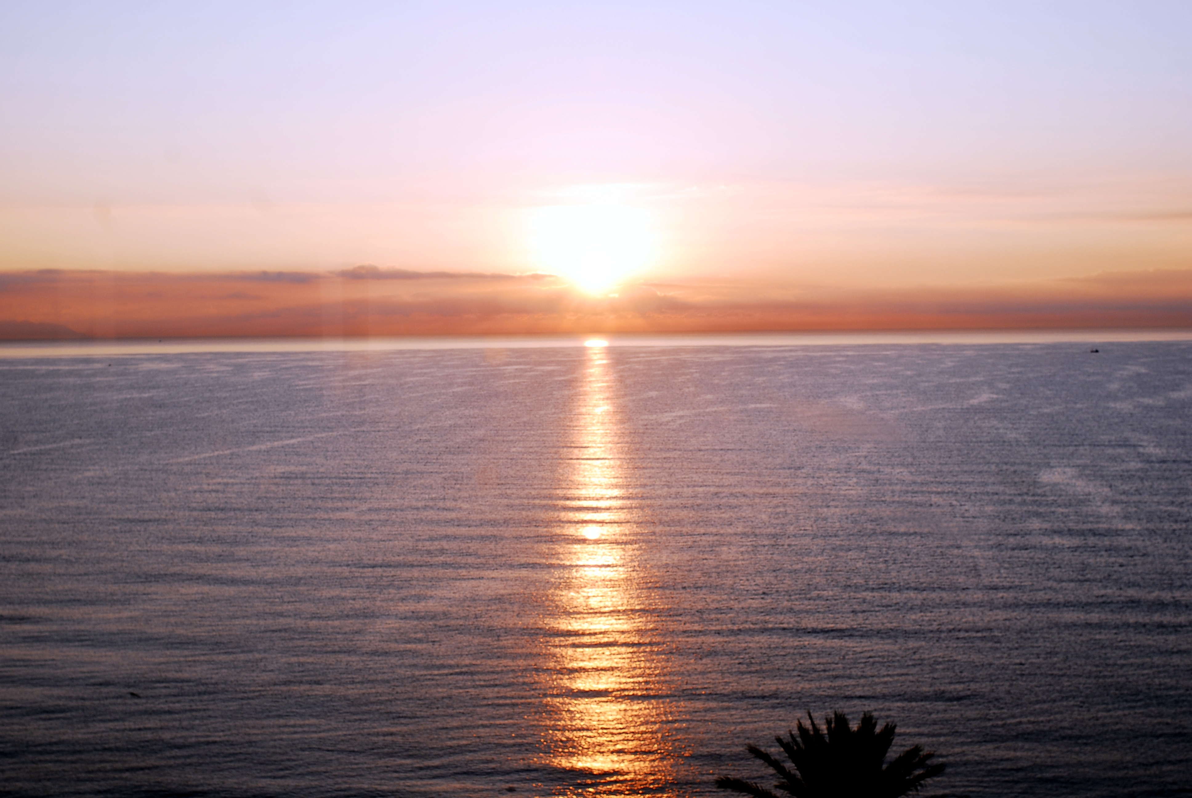 Texto alternativo para la imagen