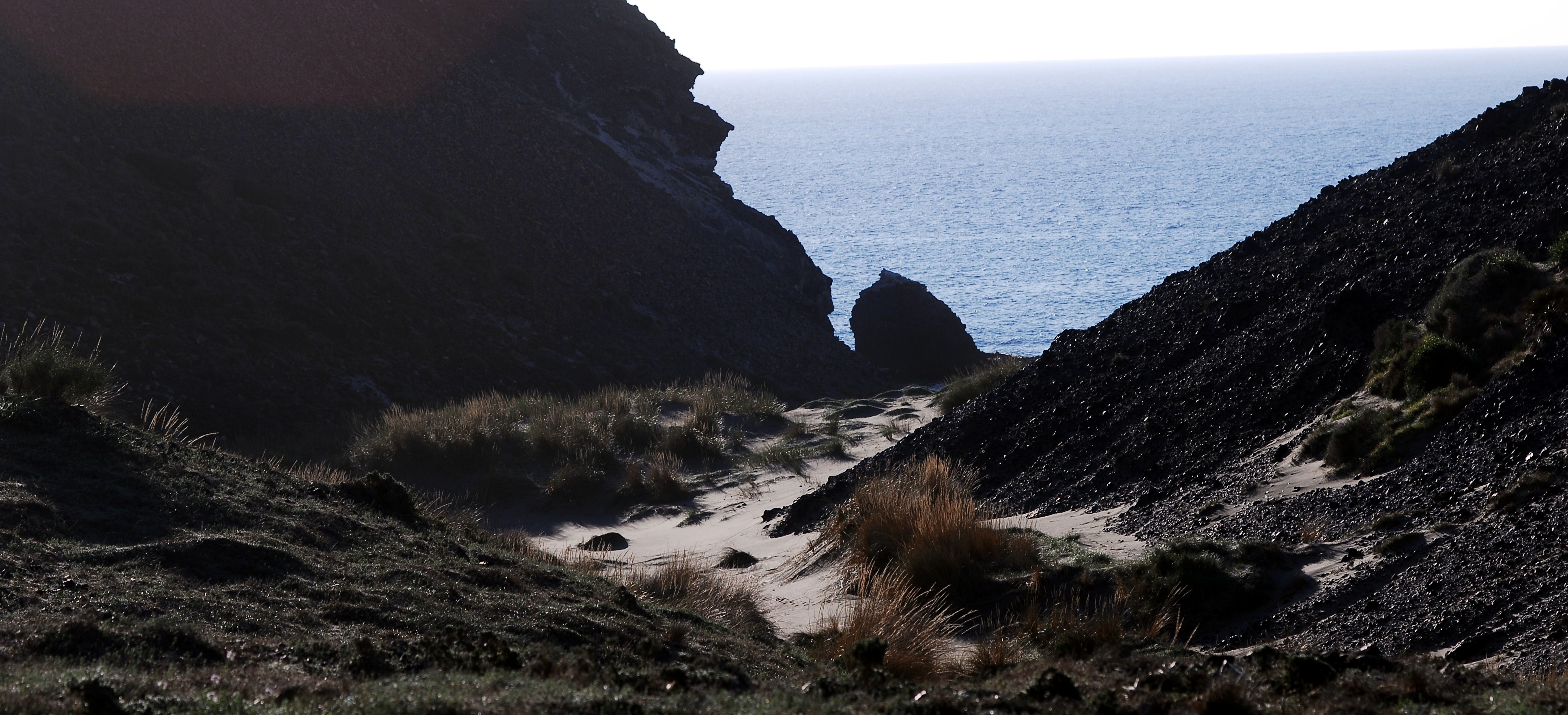 Texto alternativo para la imagen