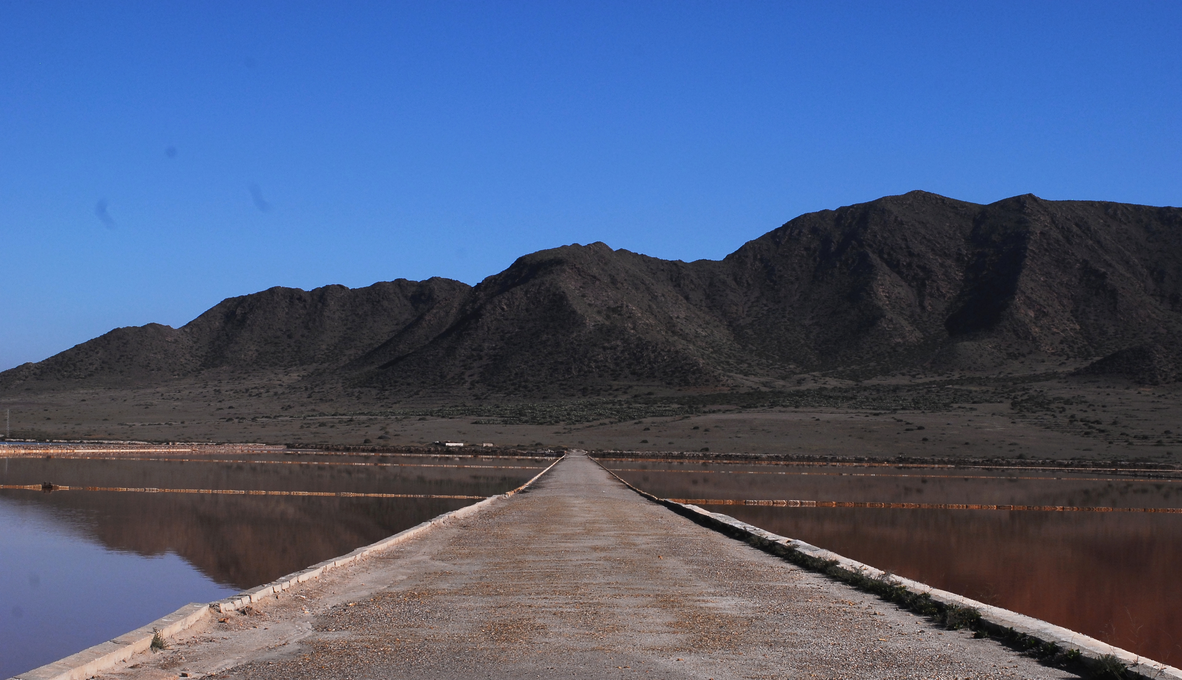 Texto alternativo para la imagen