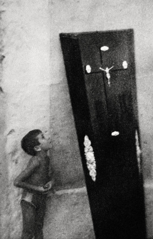 Texto alternativo para la imagen