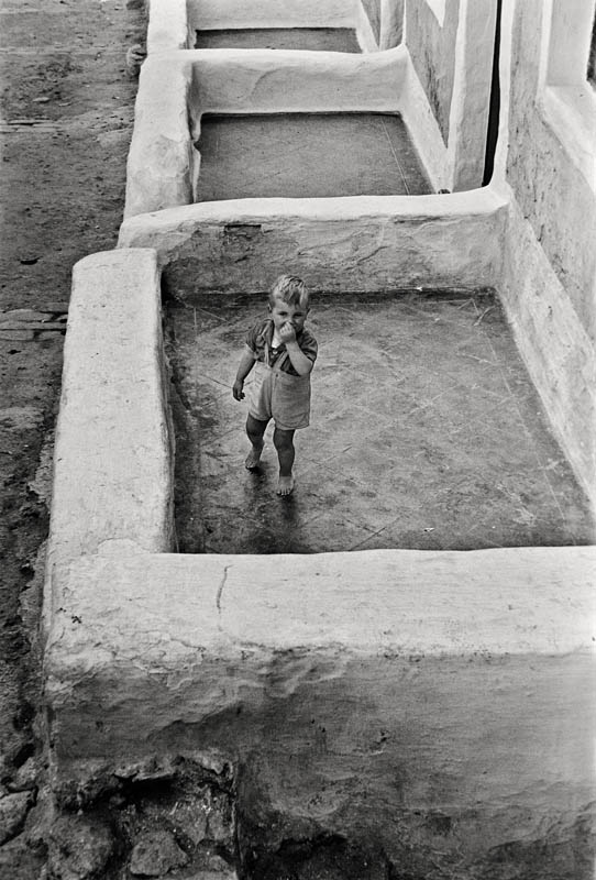 Texto alternativo para la imagen