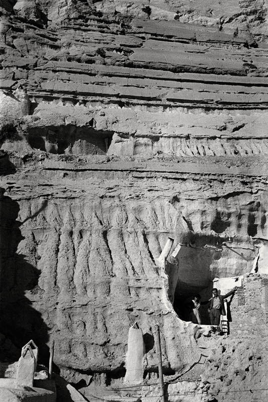 Texto alternativo para la imagen