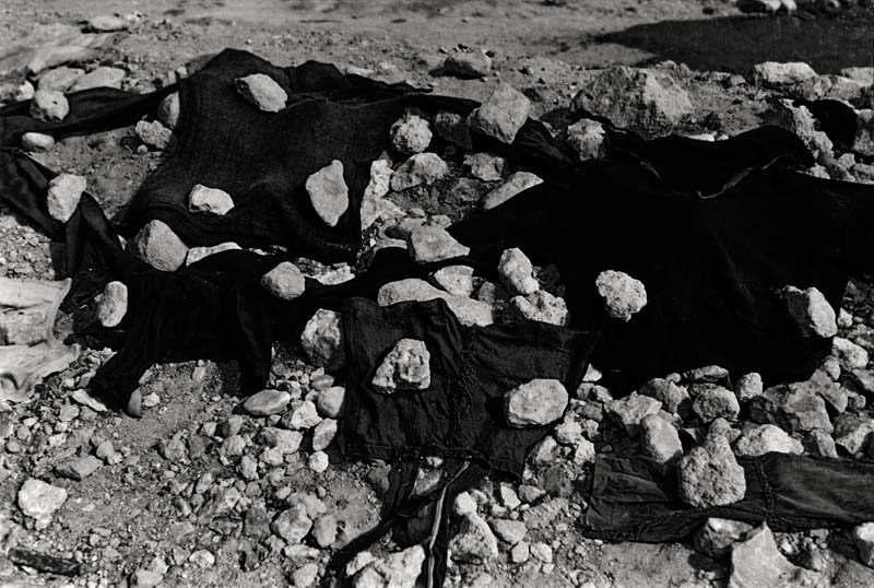 Texto alternativo para la imagen