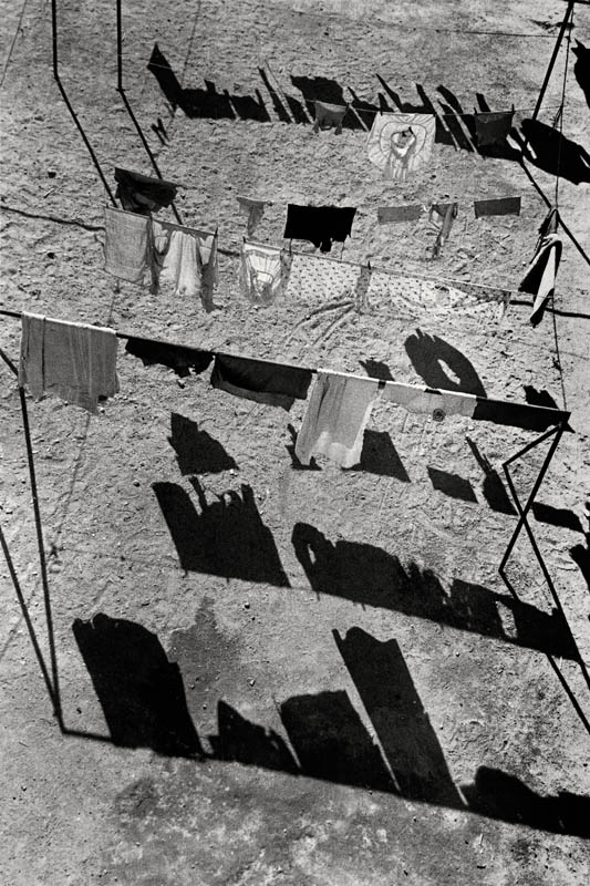 Texto alternativo para la imagen