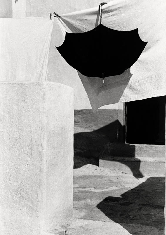 Texto alternativo para la imagen