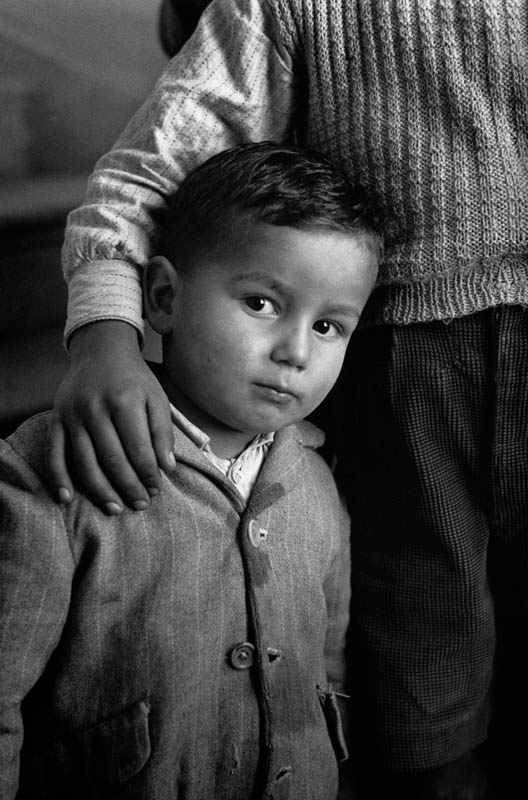 Texto alternativo para la imagen