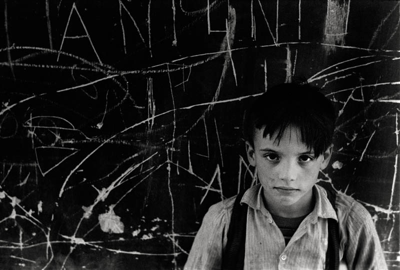 Texto alternativo para la imagen