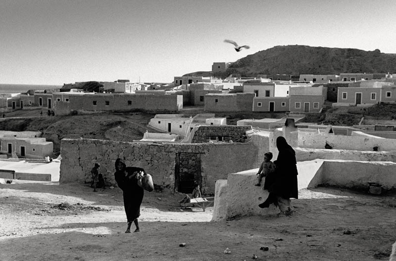 Texto alternativo para la imagen