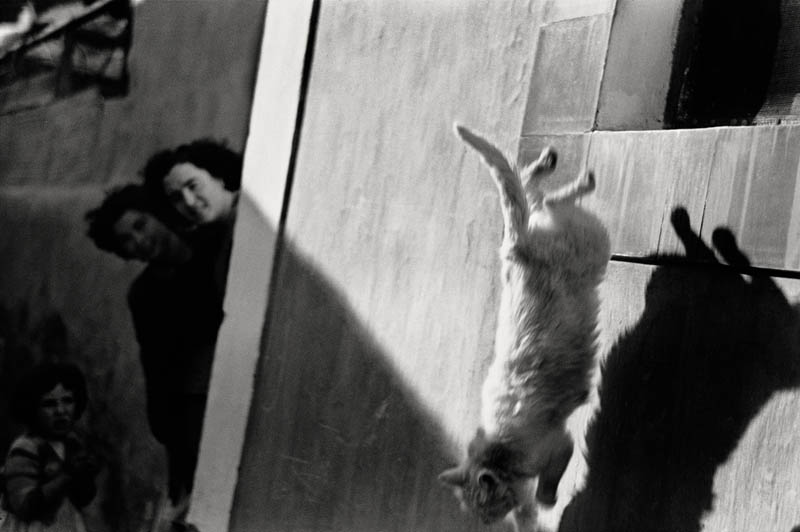 Texto alternativo para la imagen