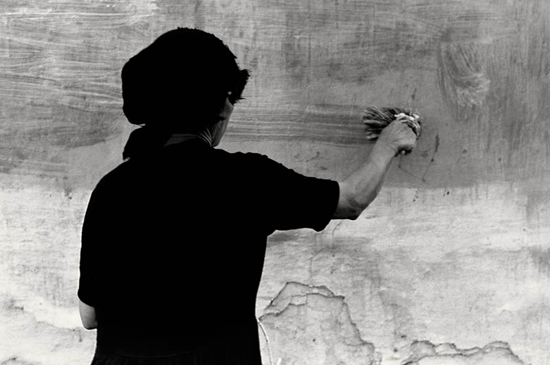 Texto alternativo para la imagen