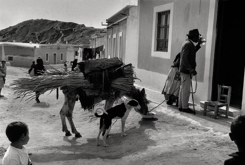 Texto alternativo para la imagen