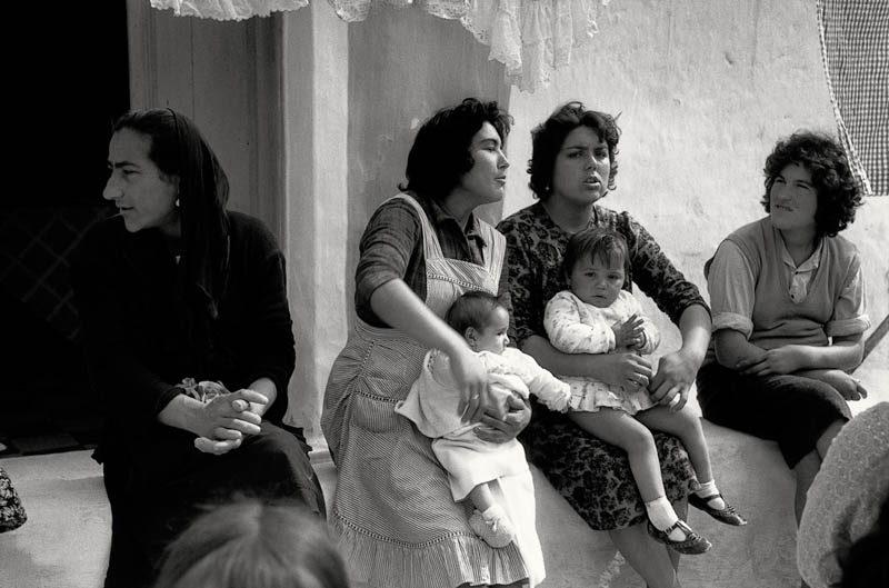 Texto alternativo para la imagen