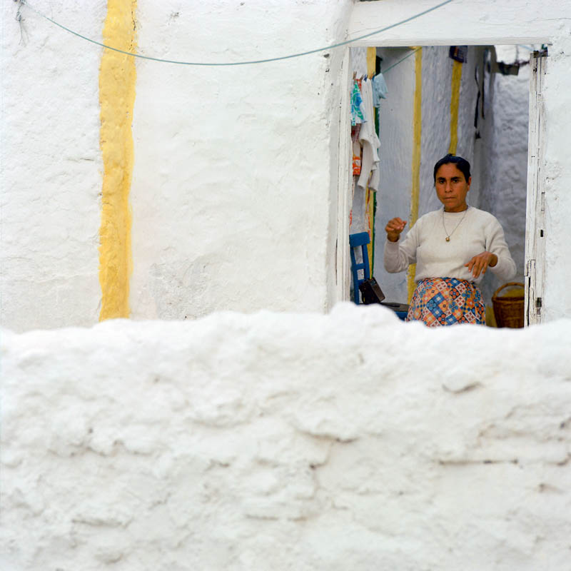 Texto alternativo para la imagen